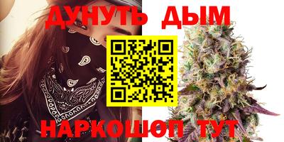 сатива Пушкино