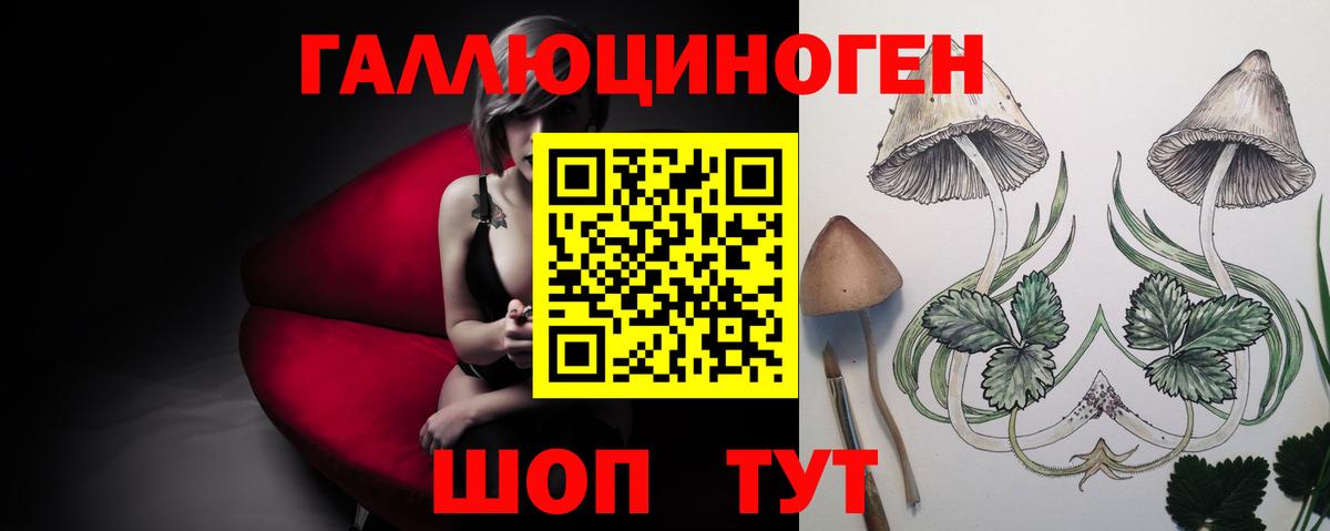 Псилоцибиновые грибы GOLDEN TEACHER  Вход с VPN  Новоалтайск 